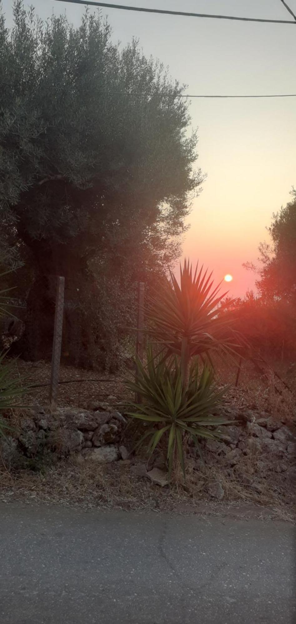 فندق Monika Lefkada Tsoukaládhes المظهر الخارجي الصورة