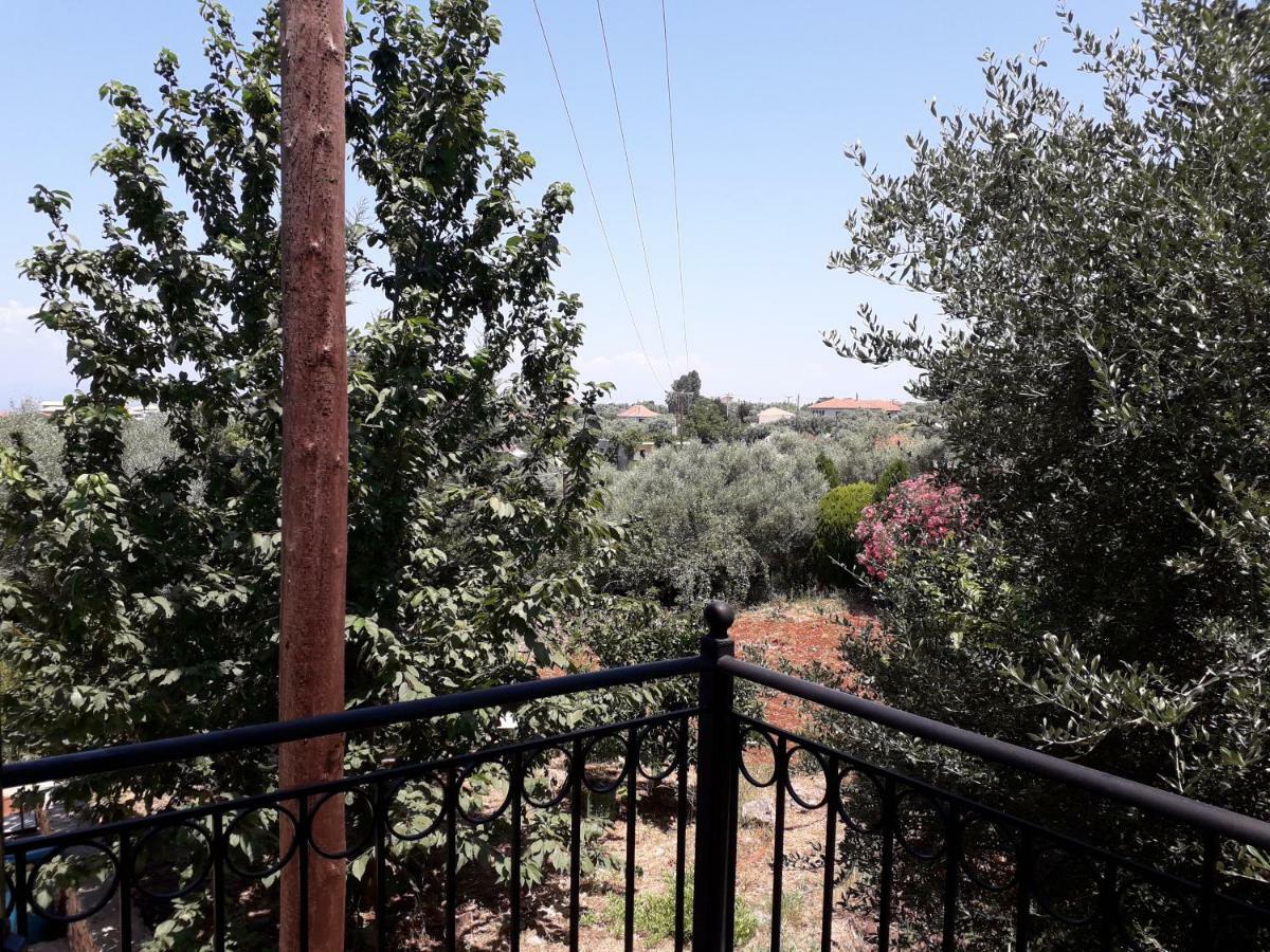 فندق Monika Lefkada Tsoukaládhes المظهر الخارجي الصورة